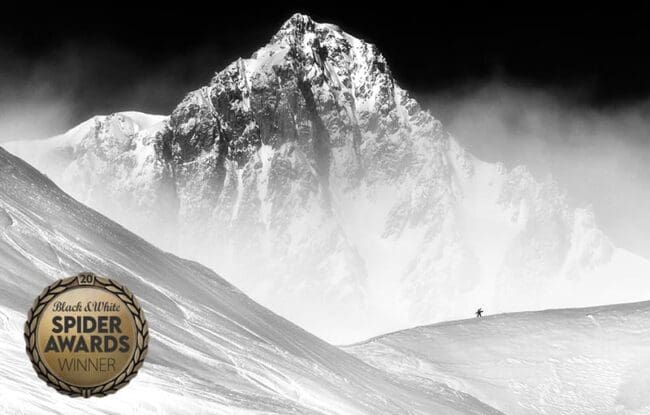 Plusieurs de mes photographies ont reçu des distinctions lors de la 20ᵉ édition des Black & White Spider Awards.