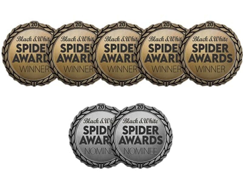 Distinctions aux Black & White Spider Awards – 20ᵉ édition
